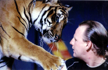 Robby Tiger